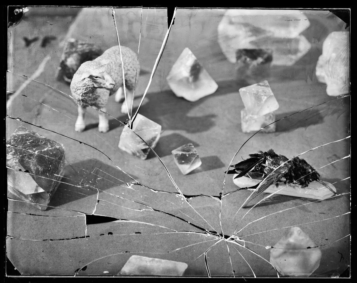web--9.jpg