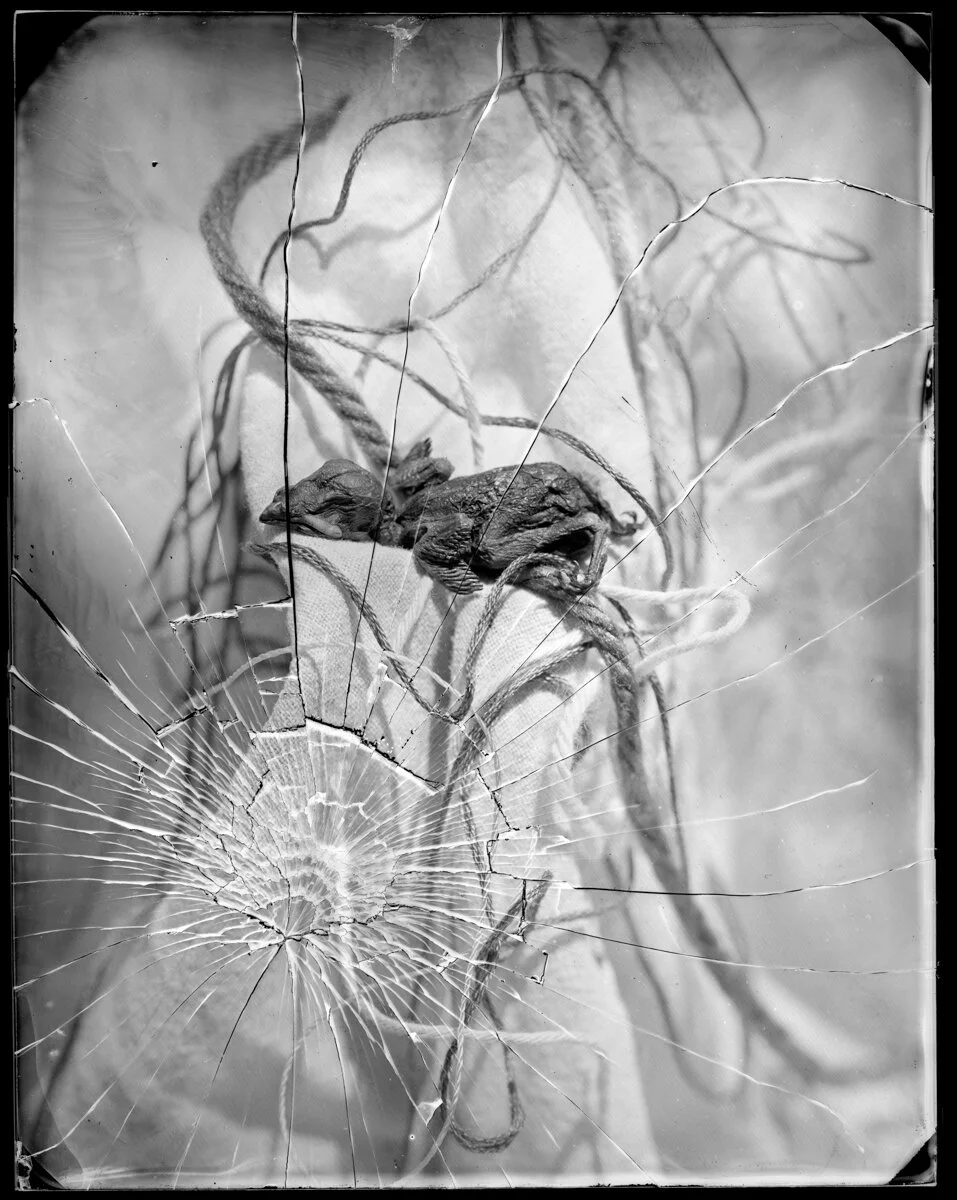web--11.jpg