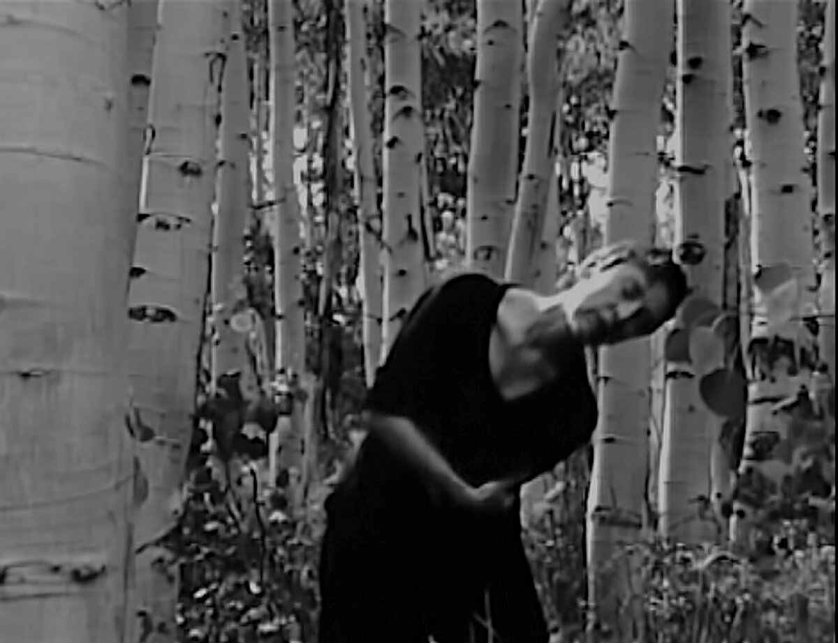 JAN ANDREWS / Honor and Dissonance