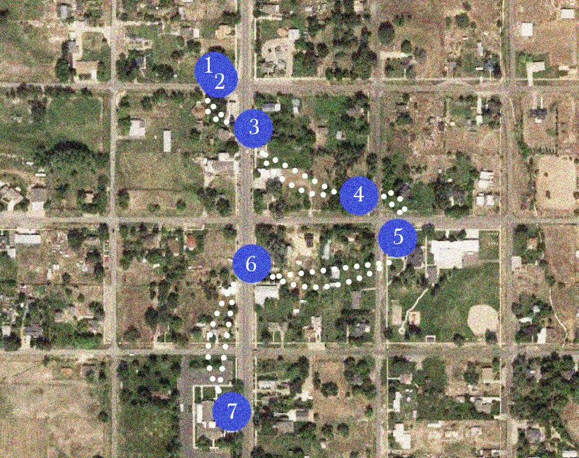 David Lindsay / Guided Walking Tours