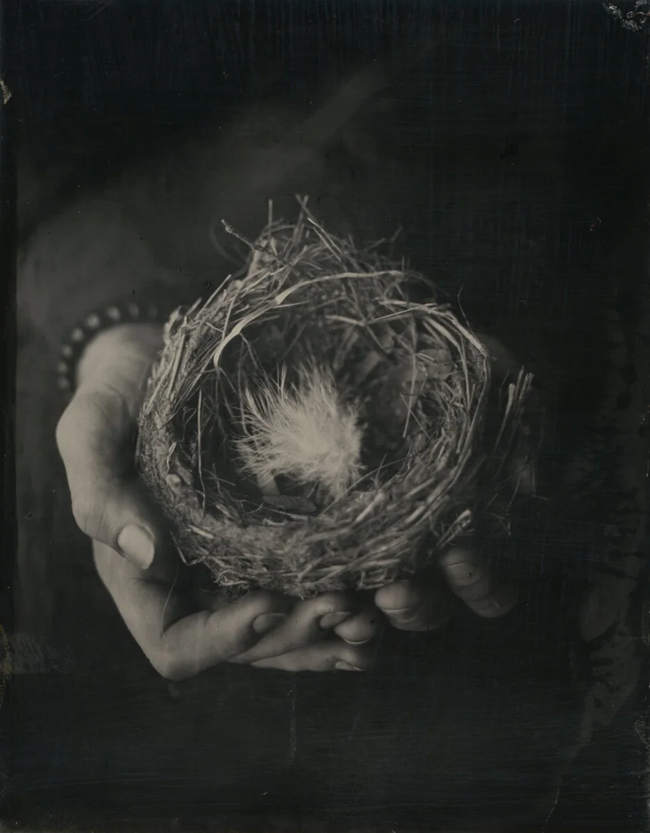 THE FAMILY TRADE: ASHLEY HANSON + BRIAN LAIDLAW / Bird's Eye Chisel 