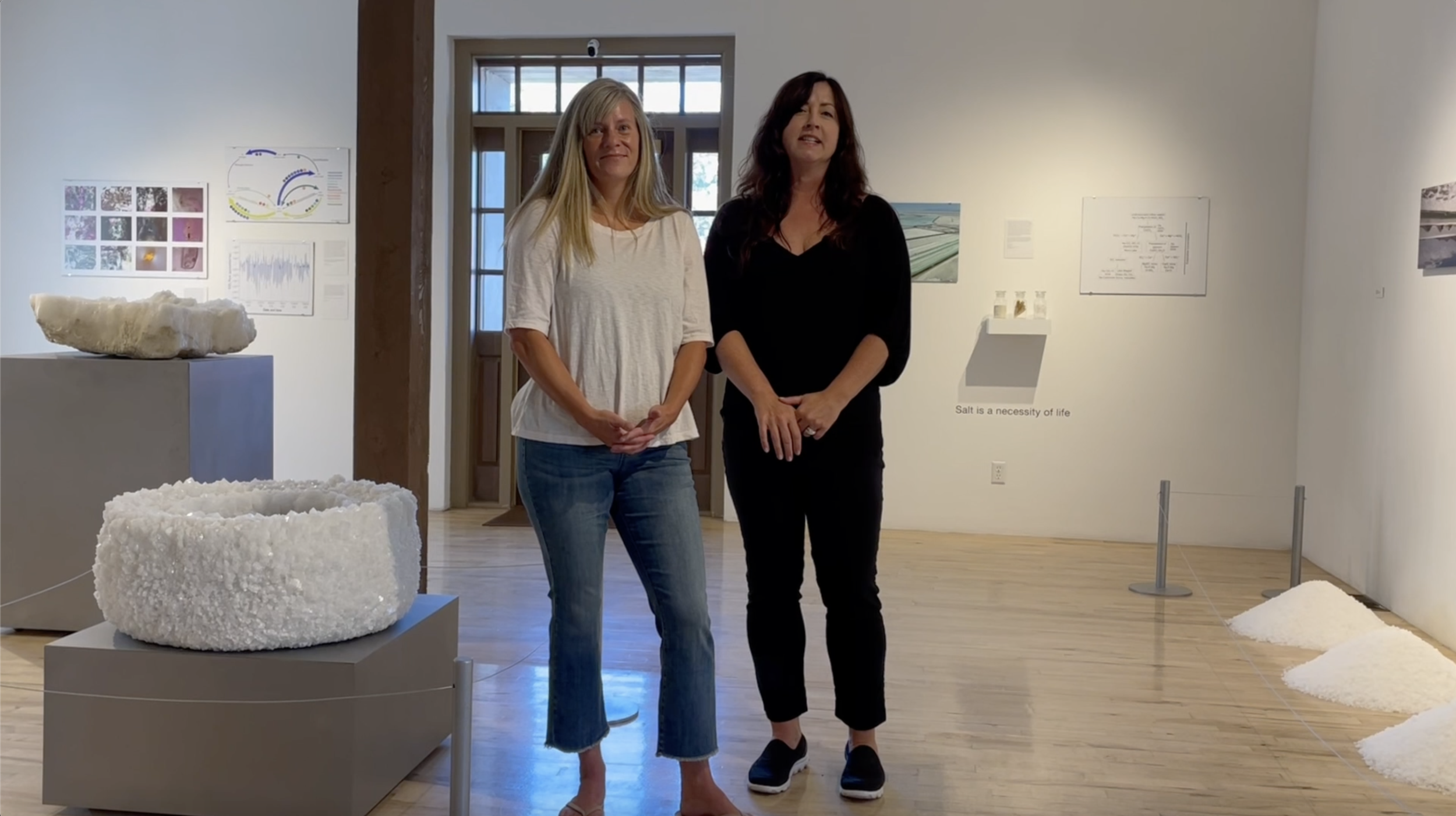 Virtual Artist Talk / Wendy Wischer + Brenda Bowen 