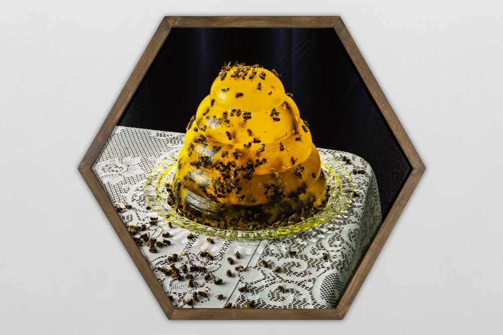 Granary Arts The New Beehive