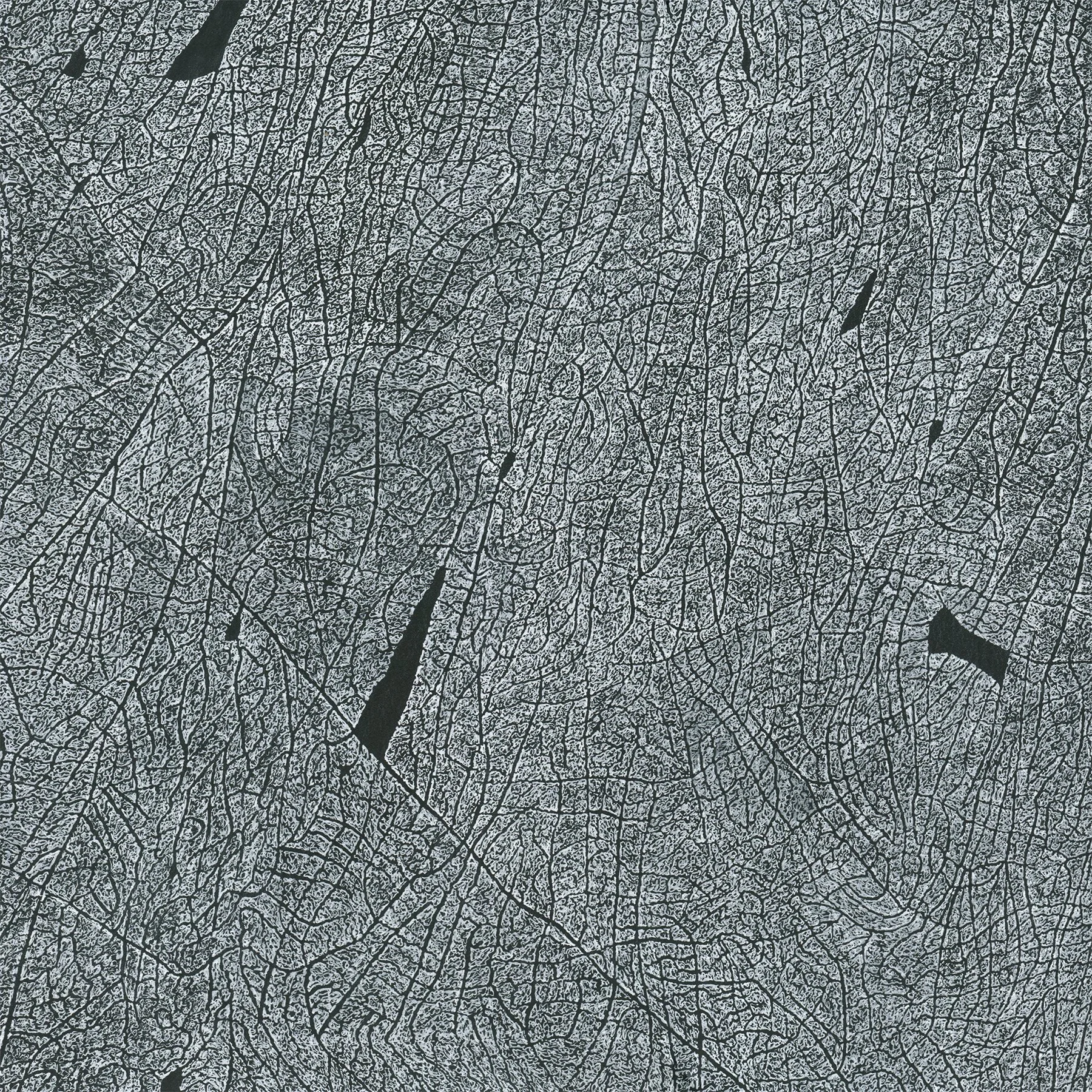 5. Al Denyer Terrain III.jpg