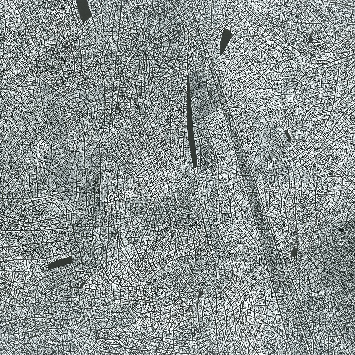 7. Al Denyer Terrain V.jpg