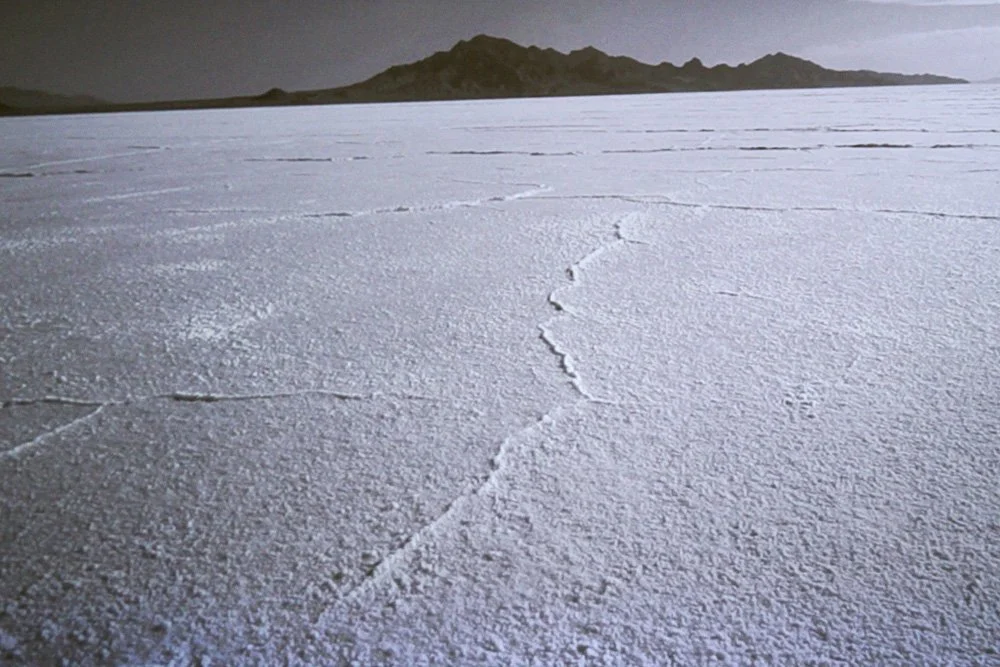 A Measure of Salt-21-21.jpg