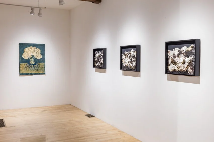 Connected to the Land-7650-27.jpg