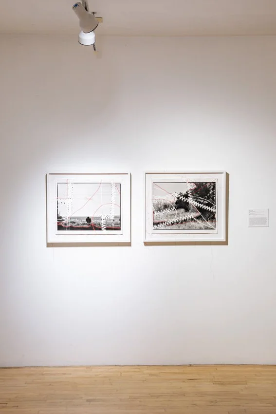 Connected to the Land-7697-37.jpg