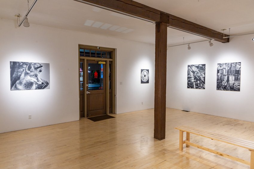 EIleen Quinlan Installation Documentation-2039-12.jpg