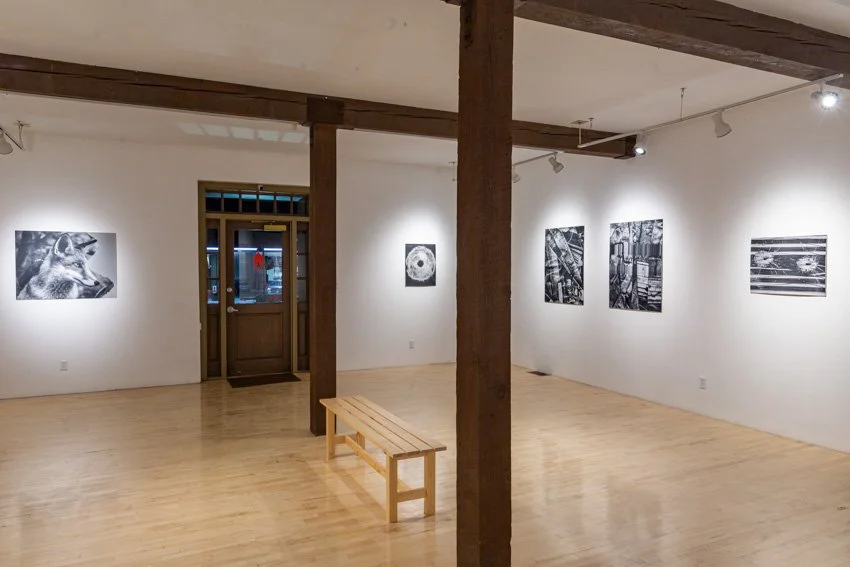 EIleen Quinlan Installation Documentation-2050-15.jpg