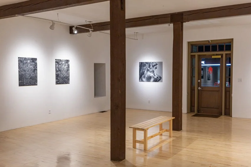 EIleen Quinlan Installation Documentation-2056-17.jpg