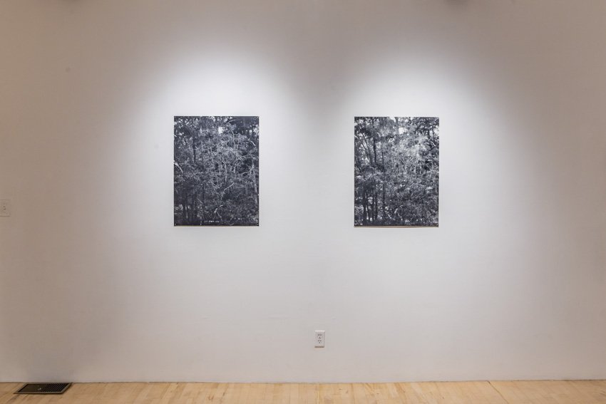 EIleen Quinlan Installation Documentation-2084-21.jpg