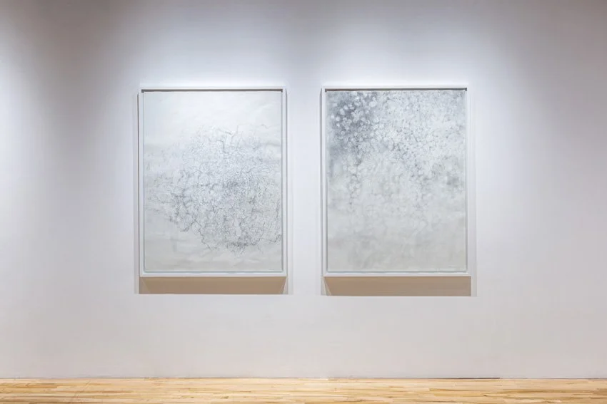 Gravis Granary Arts 2022-9669-11.jpg