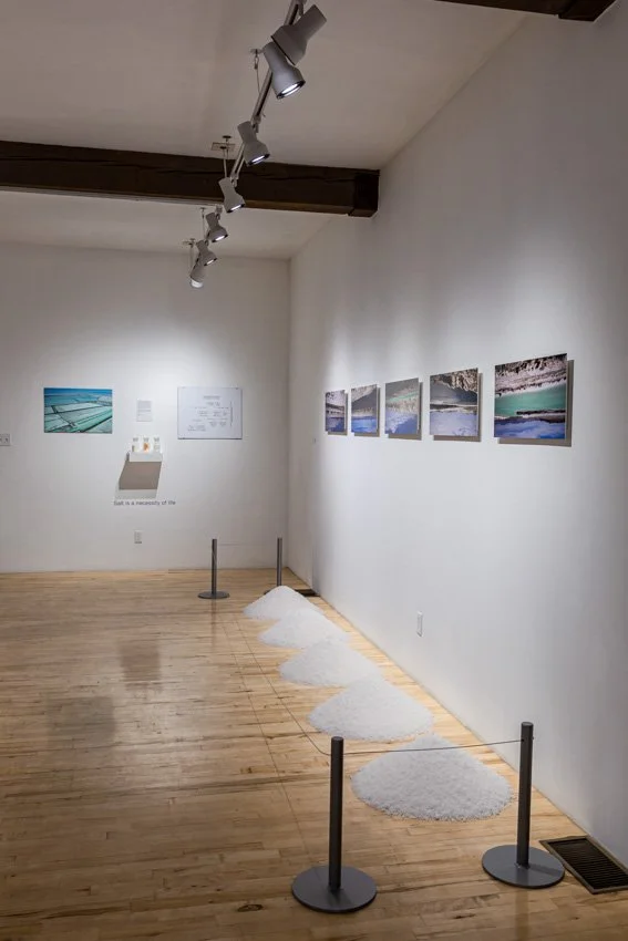 Wischer Bowen_web-6-12.jpg