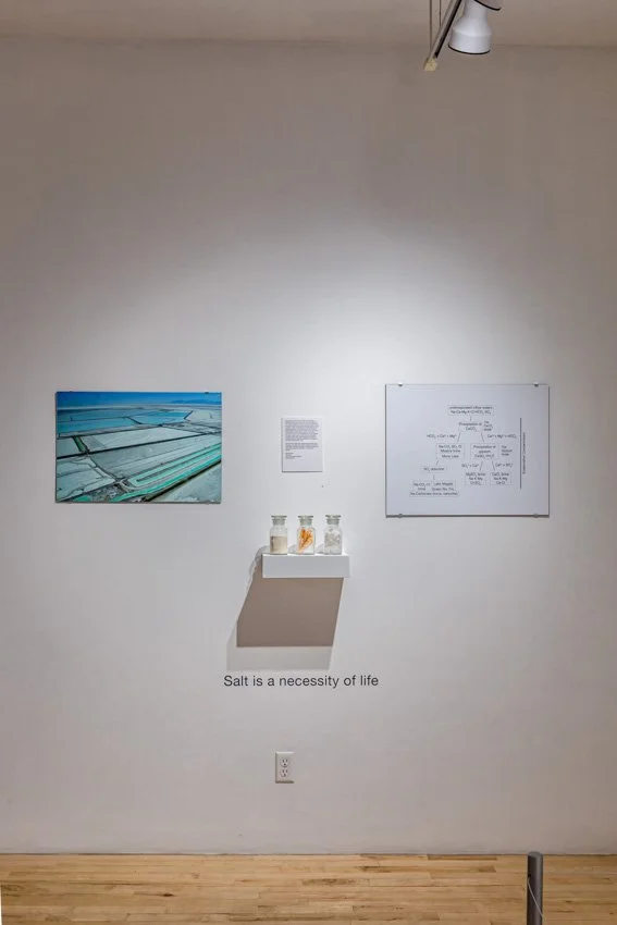 Wischer Bowen_web-7-14.jpg