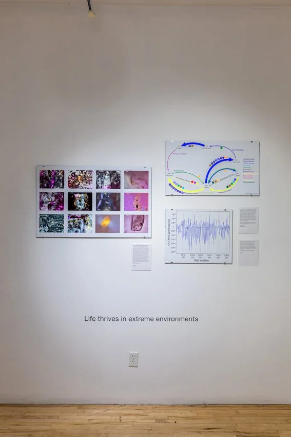 Wischer Bowen_web-8-16.jpg