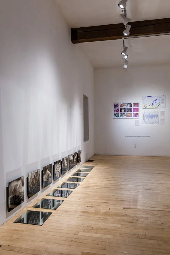 Wischer Bowen_web-9-18.jpg