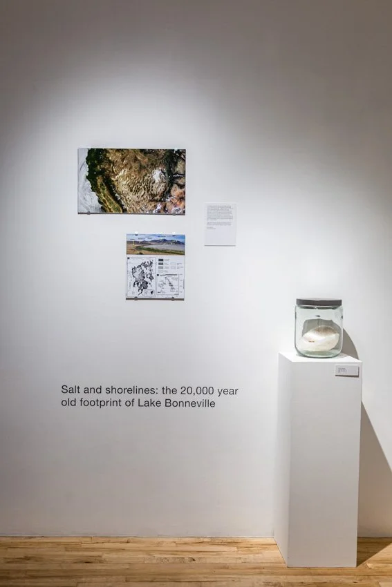 Wischer Bowen_web-21-42.jpg