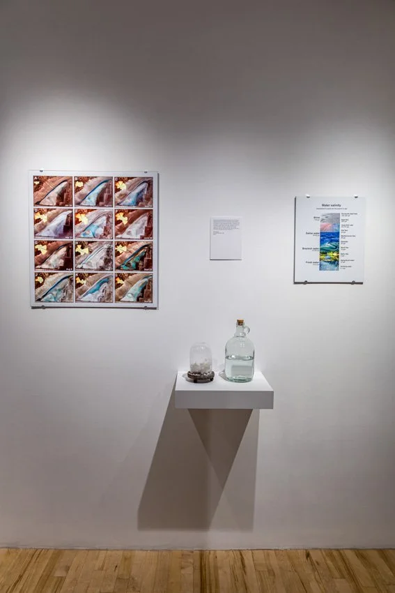 Wischer Bowen_web-24-48.jpg