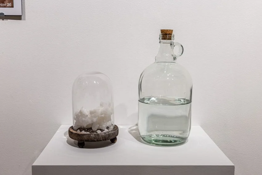 Wischer Bowen_web-25-50.jpg