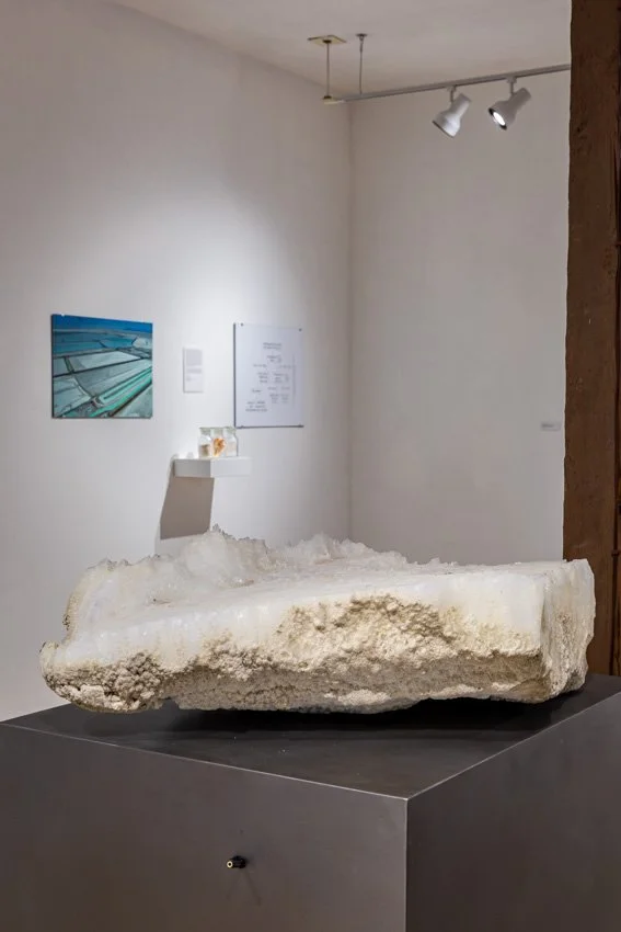 Wischer Bowen_web-27-54.jpg