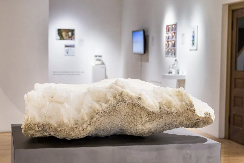 Wischer Bowen_web-28-56.jpg