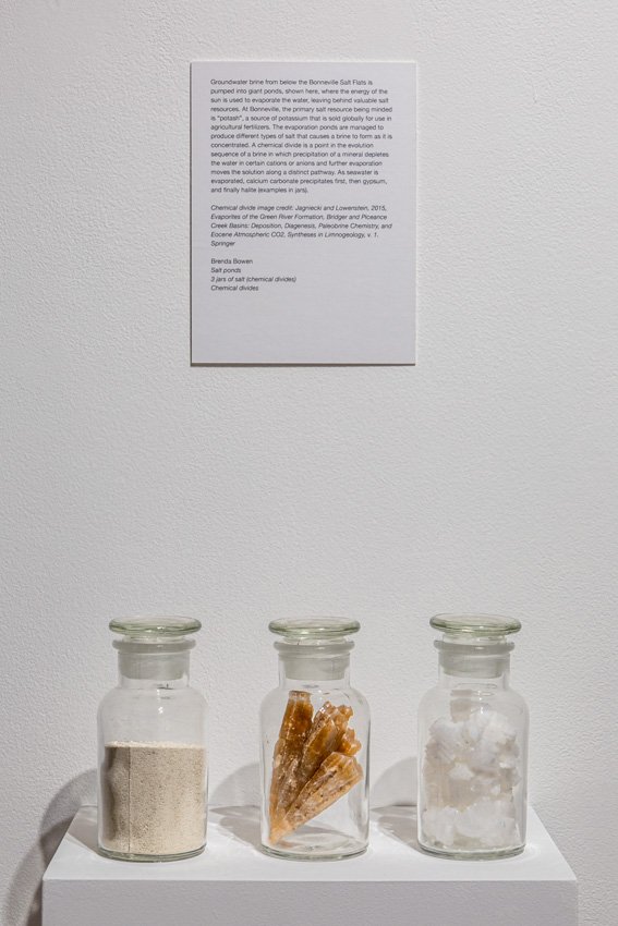 Wischer Bowen_web-30-60.jpg