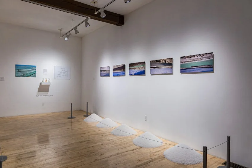 Wischer Bowen-5-9.jpg