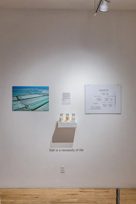 Wischer Bowen-7-13.jpg