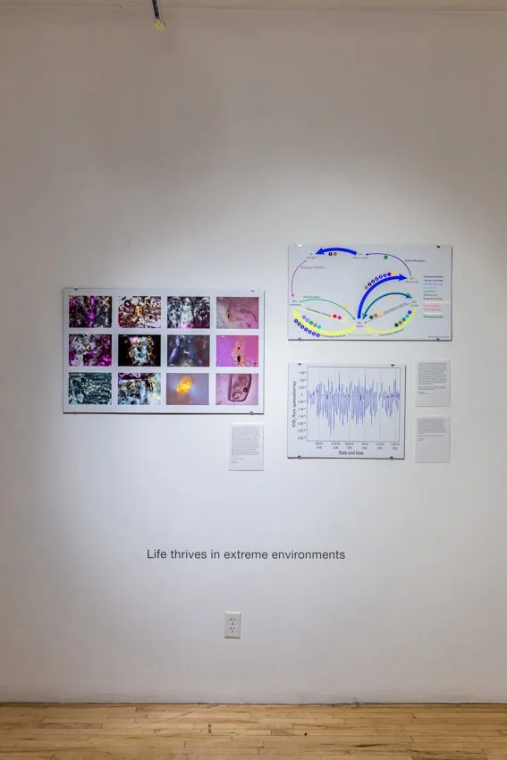 Wischer Bowen-8-15.jpg