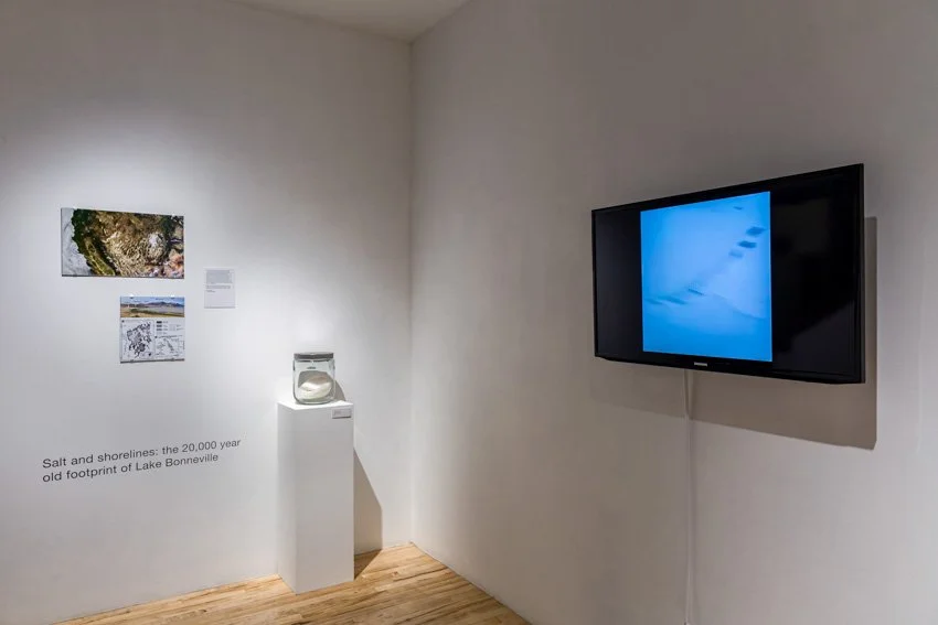 Wischer Bowen-20-39.jpg