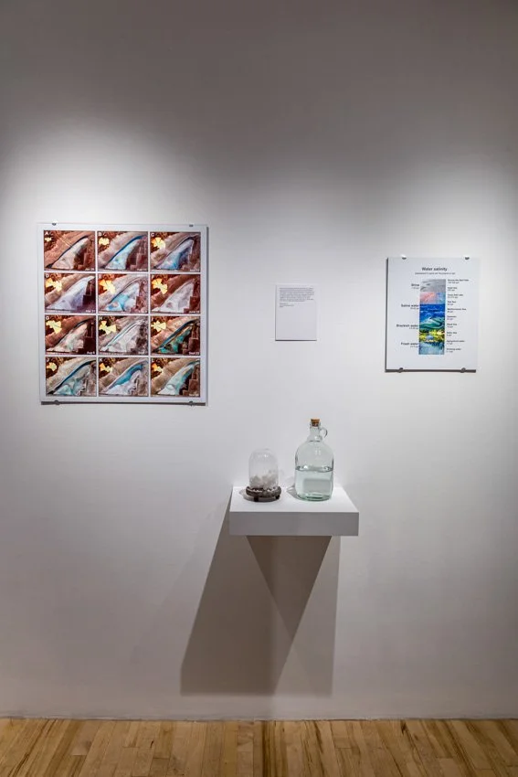 Wischer Bowen-24-47.jpg