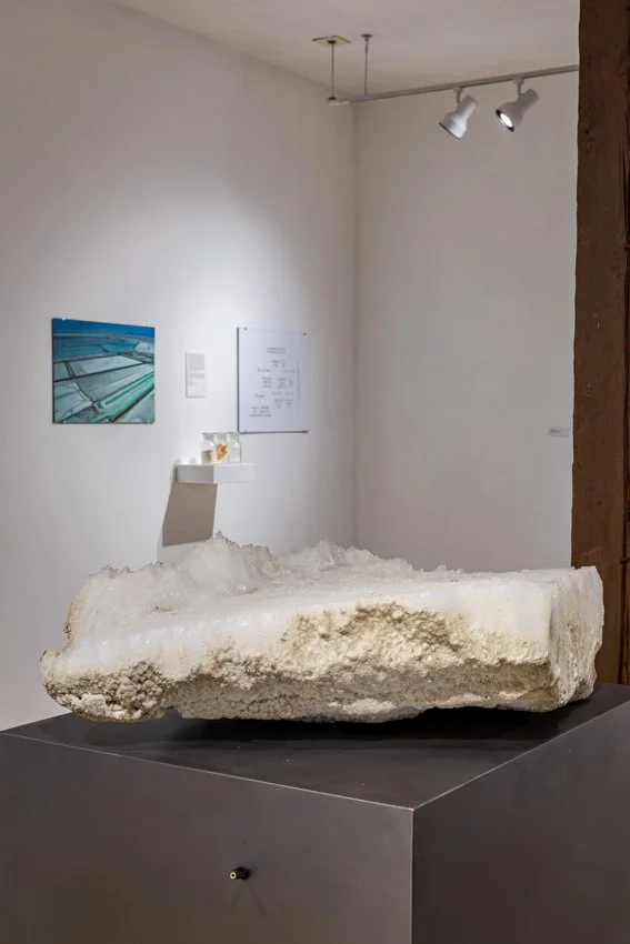 Wischer Bowen-27-53.jpg