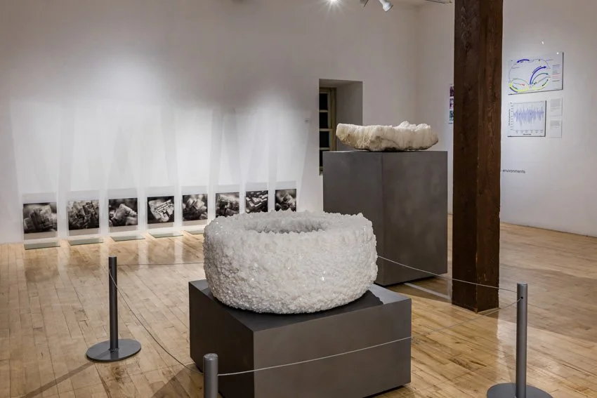 Wischer Bowen-31-61.jpg