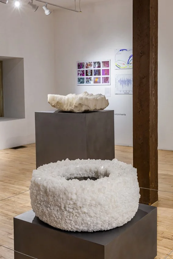 Wischer Bowen-33-65.jpg