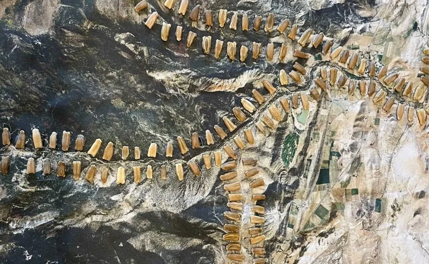 Hikmet Sidney Loe / The Center Can Not Hold 