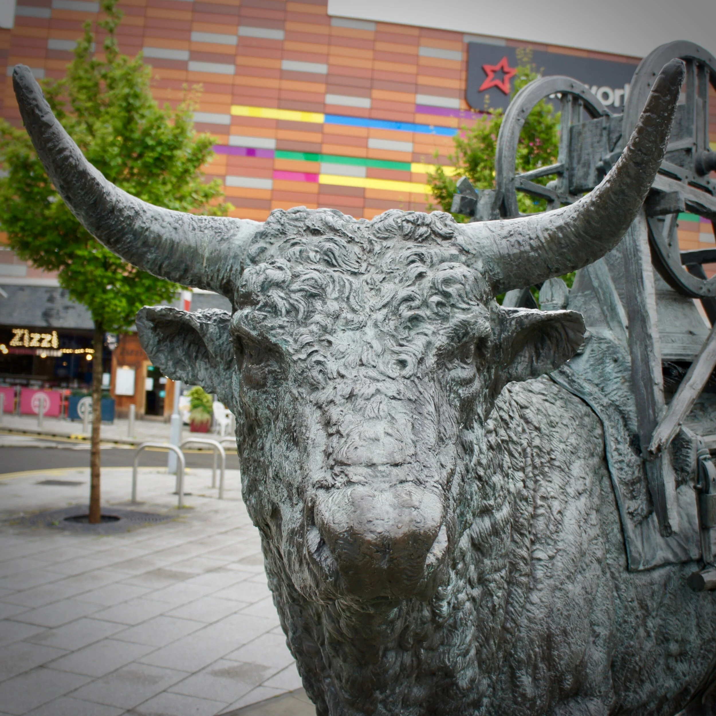Stalked by Oxen - on the trail of the Ychain Bannog