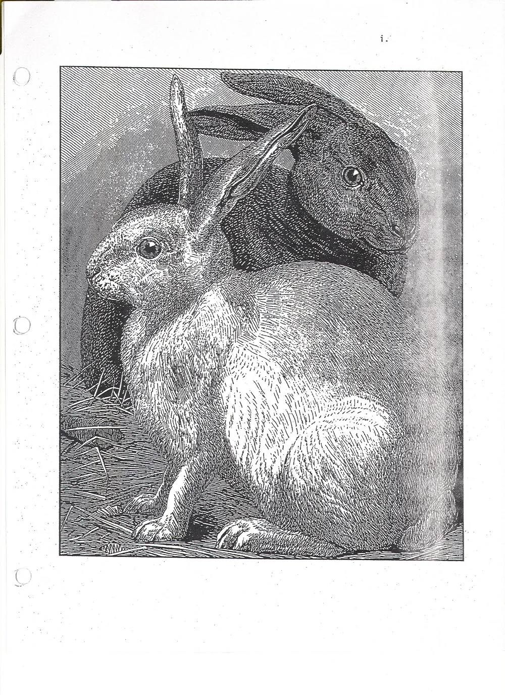 scan0001.jpg