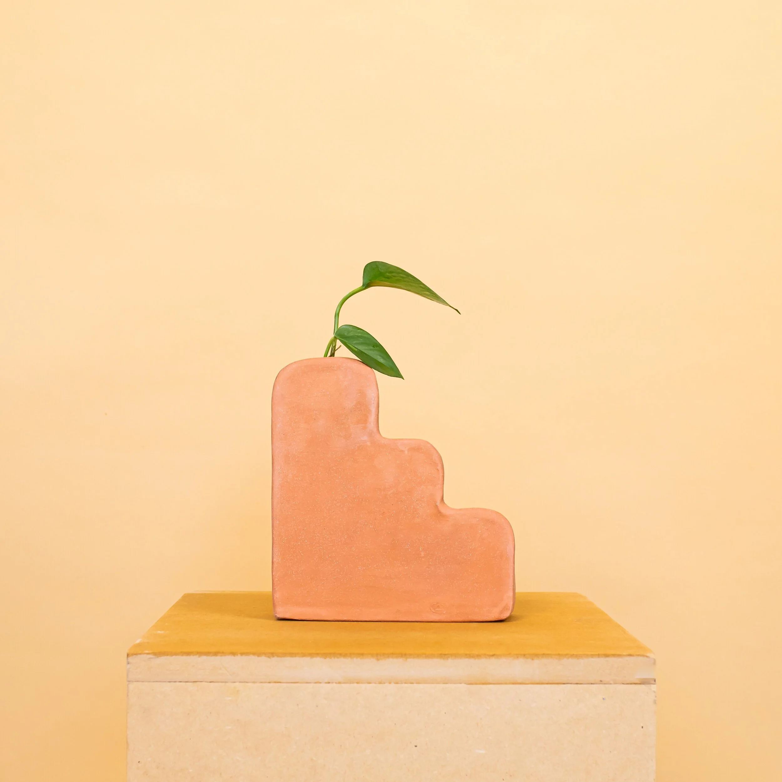 7D1B2C7A-9895-49D0-AF43-F9C687697D3E