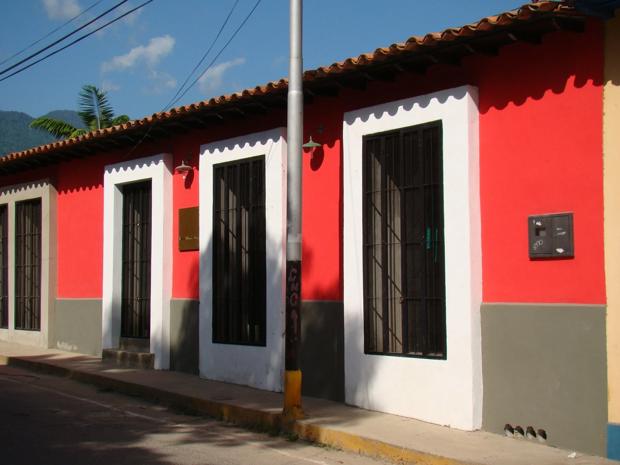 DSC07811.jpg