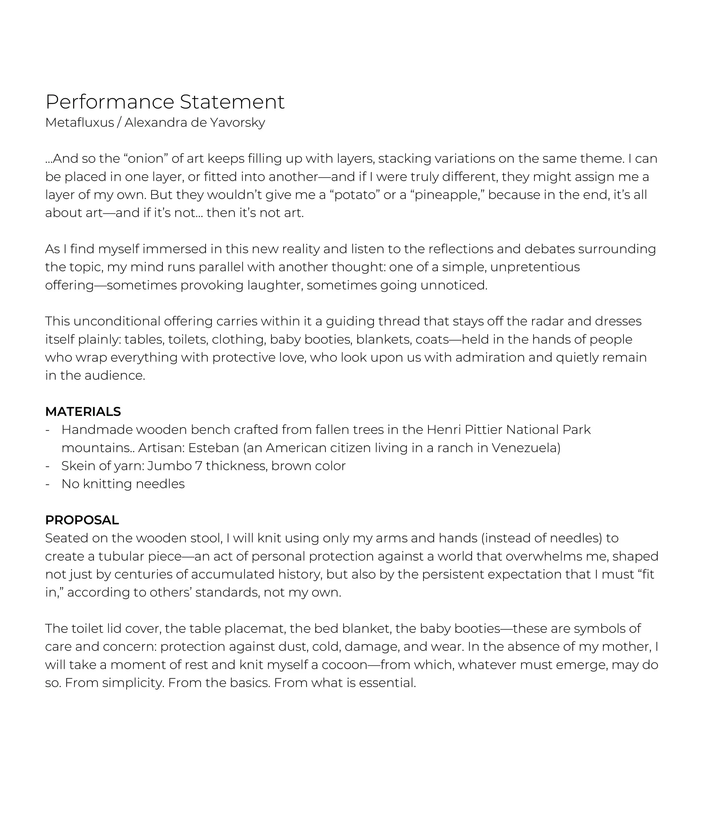 statement metafluxus.jpg