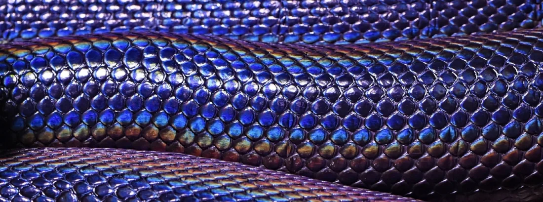rattlesnake2.jpg