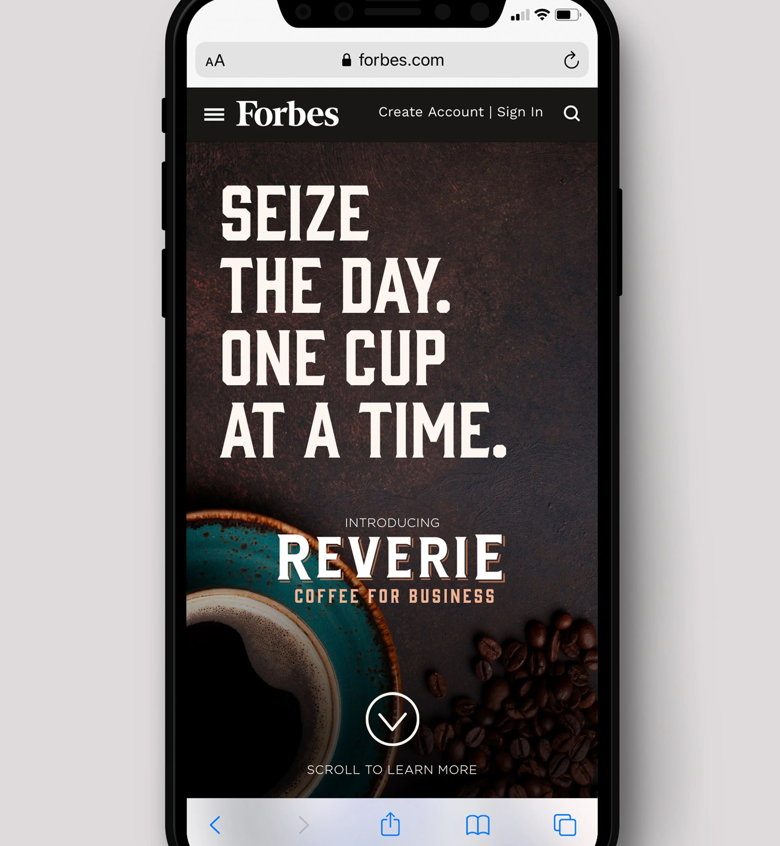 MichaelPMcCoy_Copywriting_Reverie_i2_Crop_SeizeTheDay.jpg