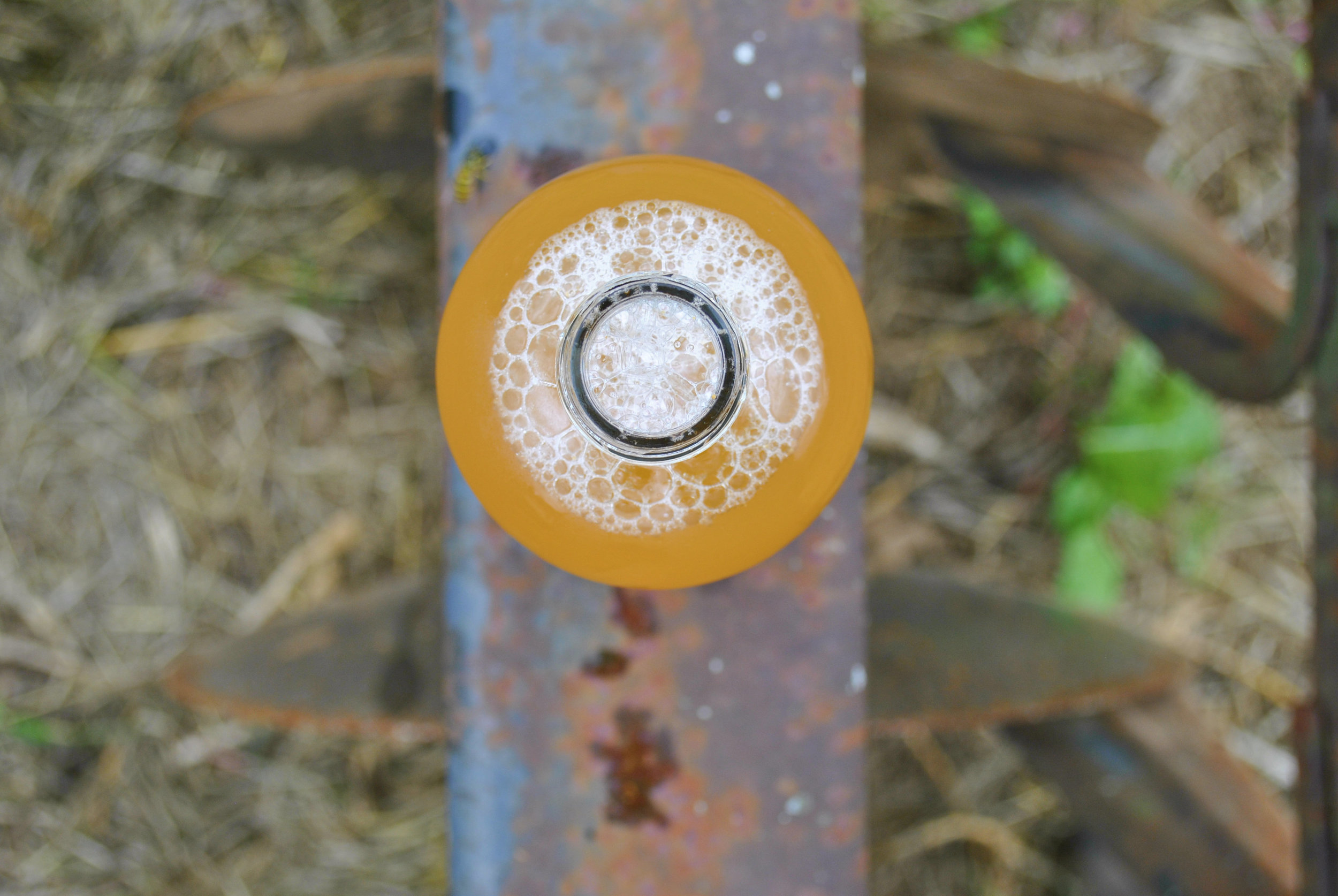 Apple Cider Overhead.jpg
