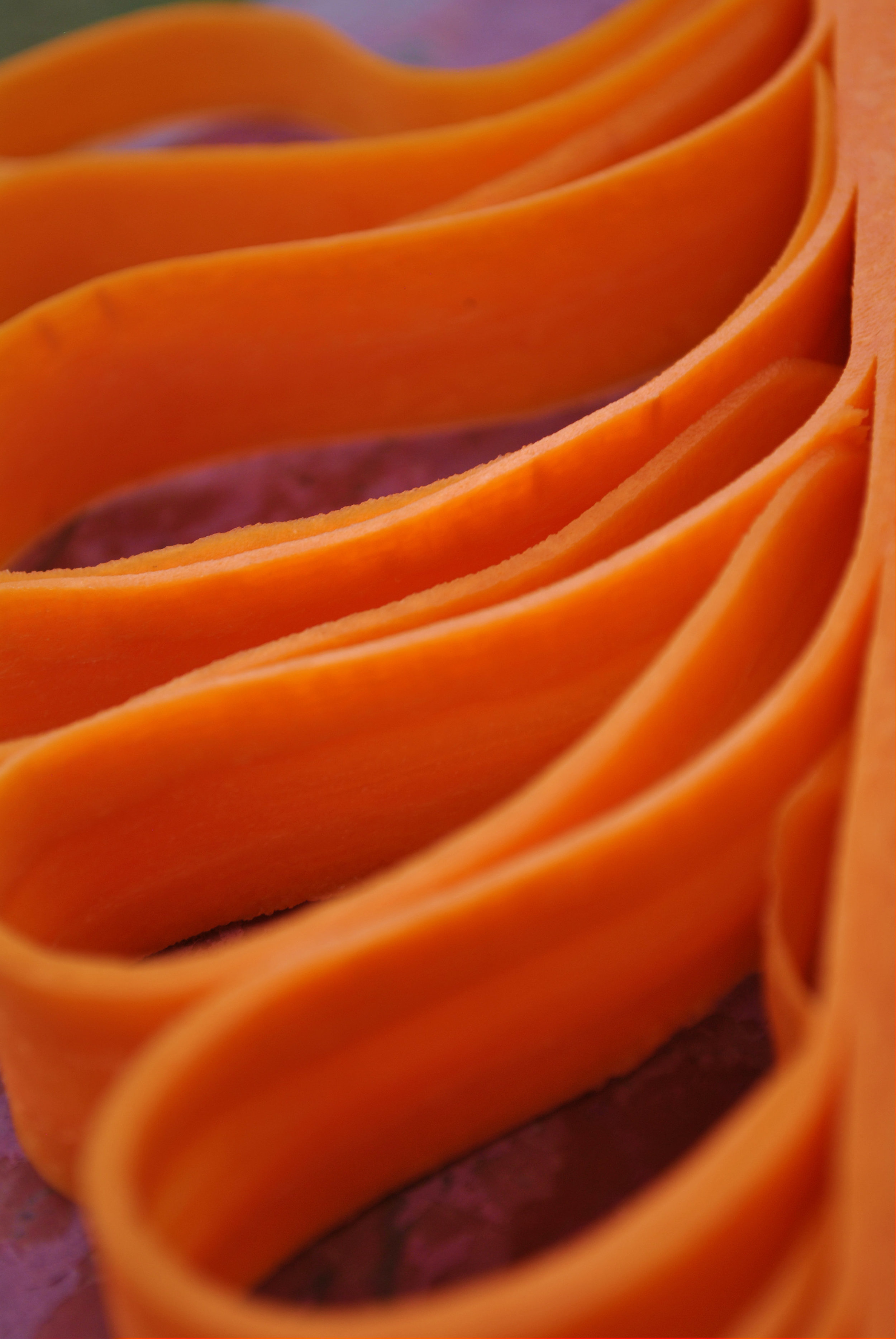 Carrot 3.jpg