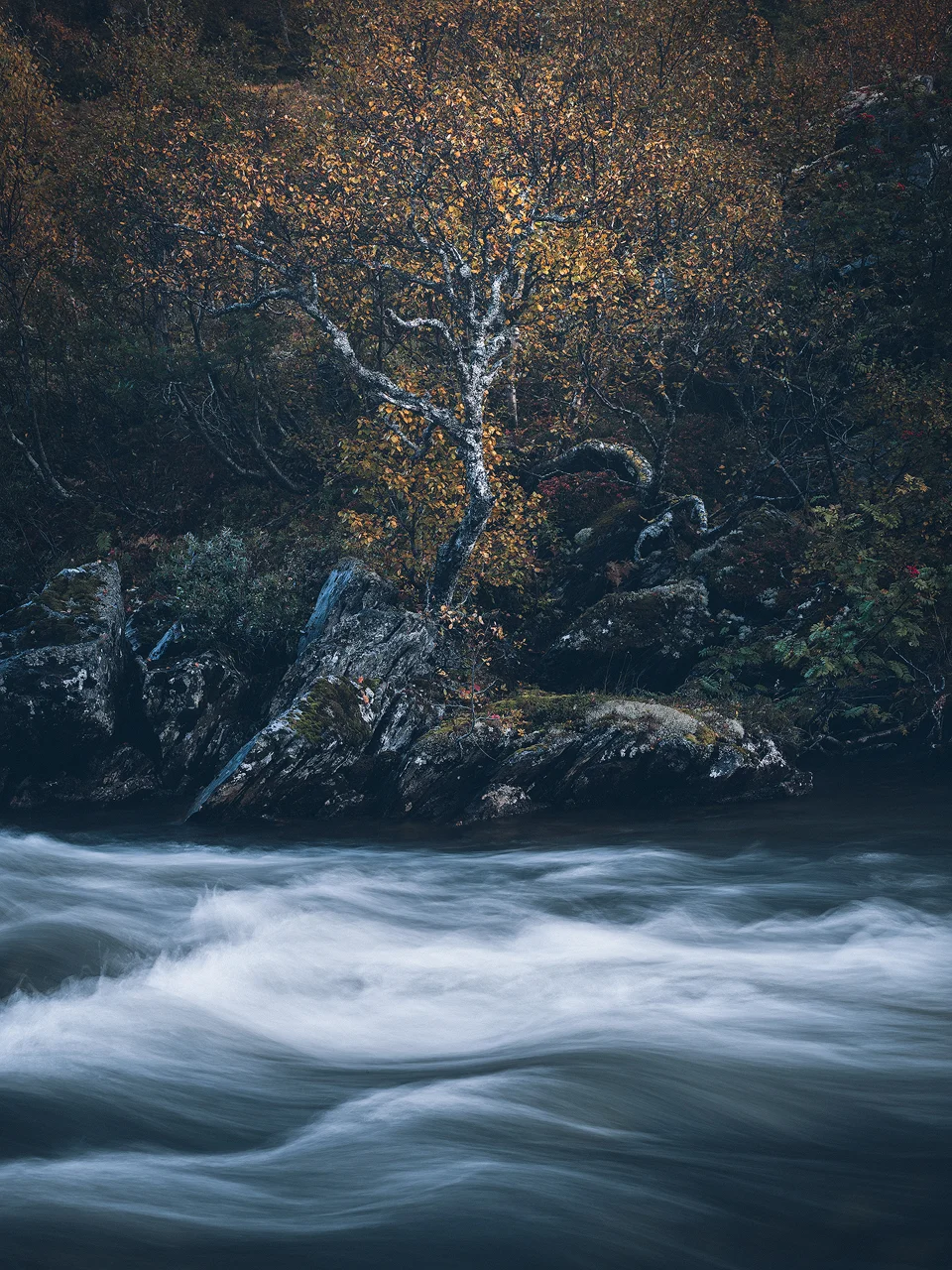 DSCF6284-Edit.jpg