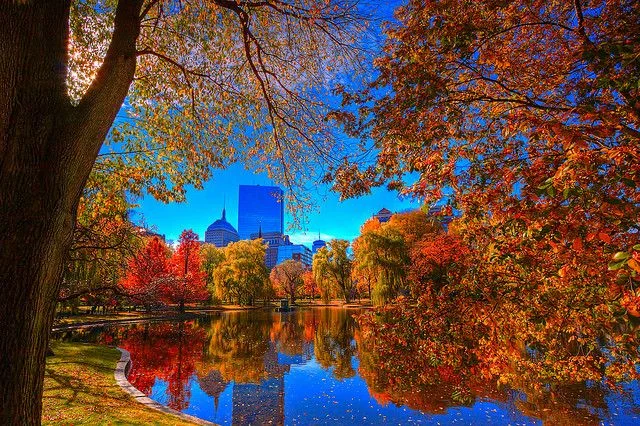 fall boston.jpg
