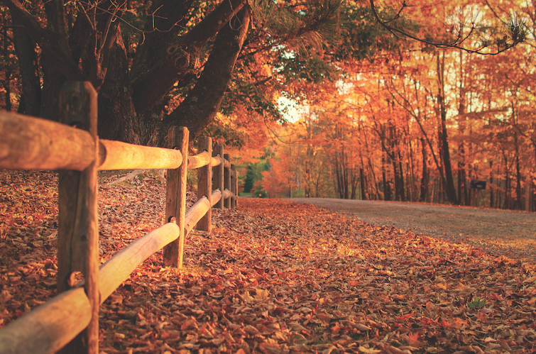 Screen Shot 2018-02-28 at 7.12.31 PM.png