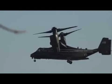 Robert Boyd Wildlife Vlog 65