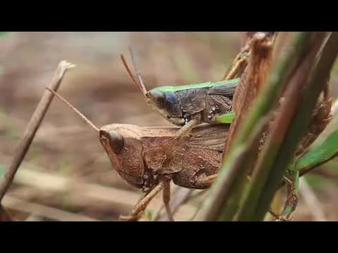 Valentine's Day 2018